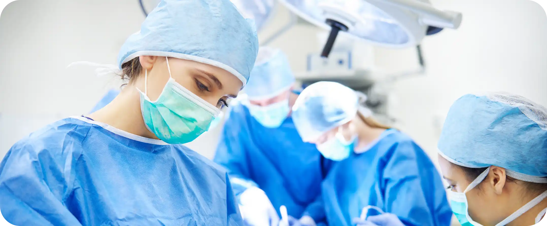 Gestión de auditores con la Metodología INPlants. Garantizamos información financiera confiable para la toma de decisiones