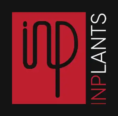 Reportes contables oportunos y control de procesos contables con el INPlant correcto. Staffing financiero especializado